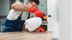 Professional Pest control in St Rose, LA